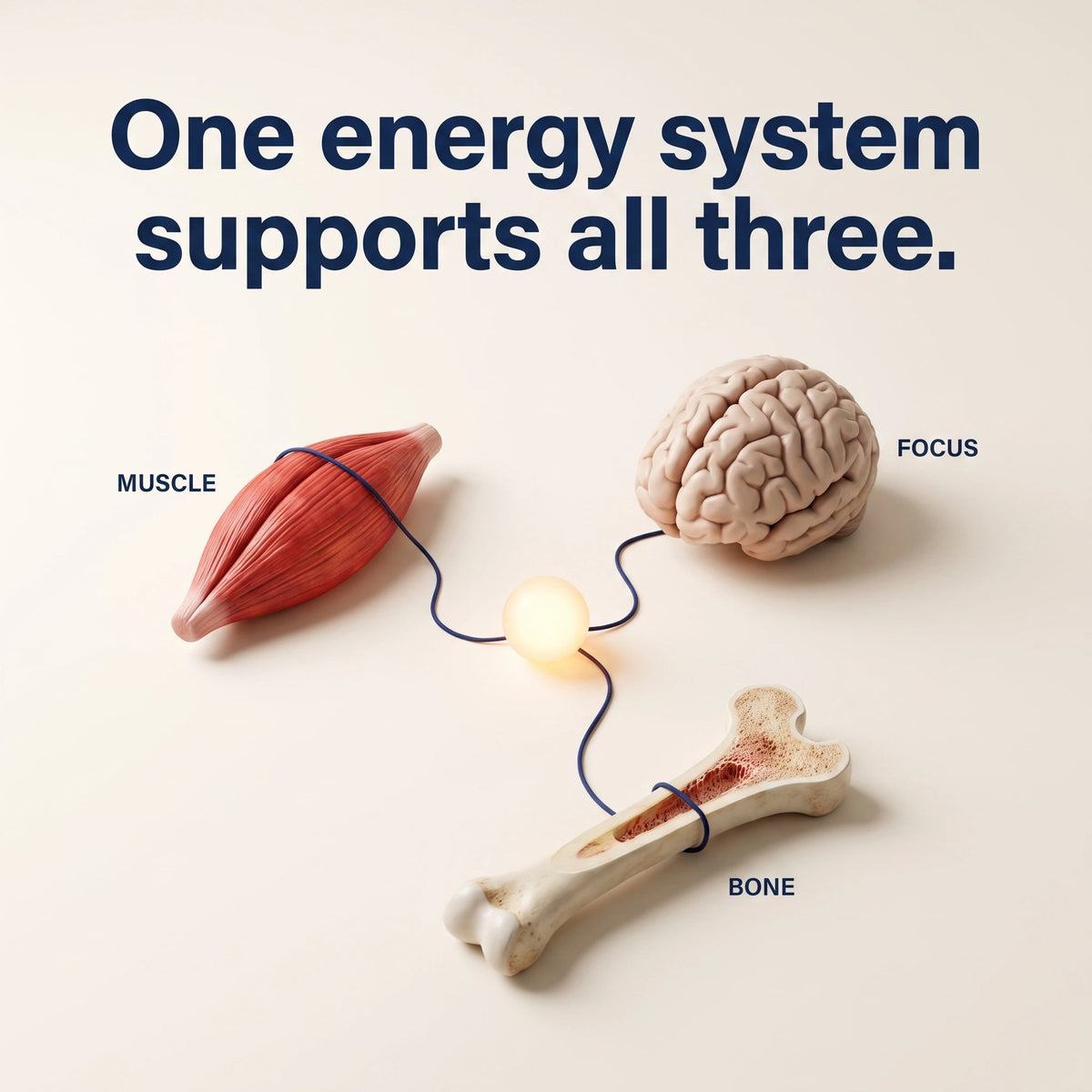 Can help with other things on GLP-1 (including bone health)