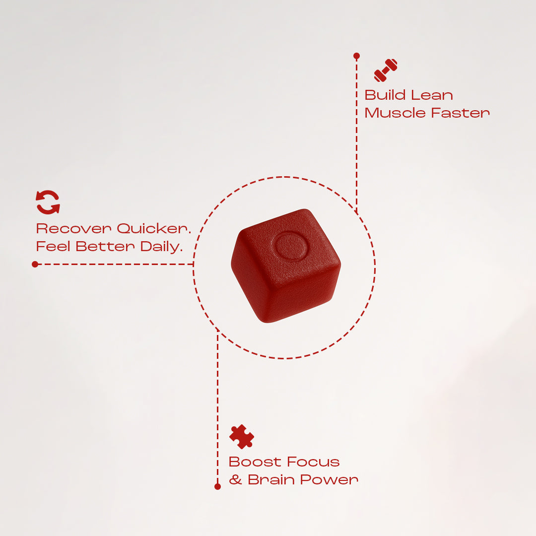 OMNI Creatine Gummy (TOP)