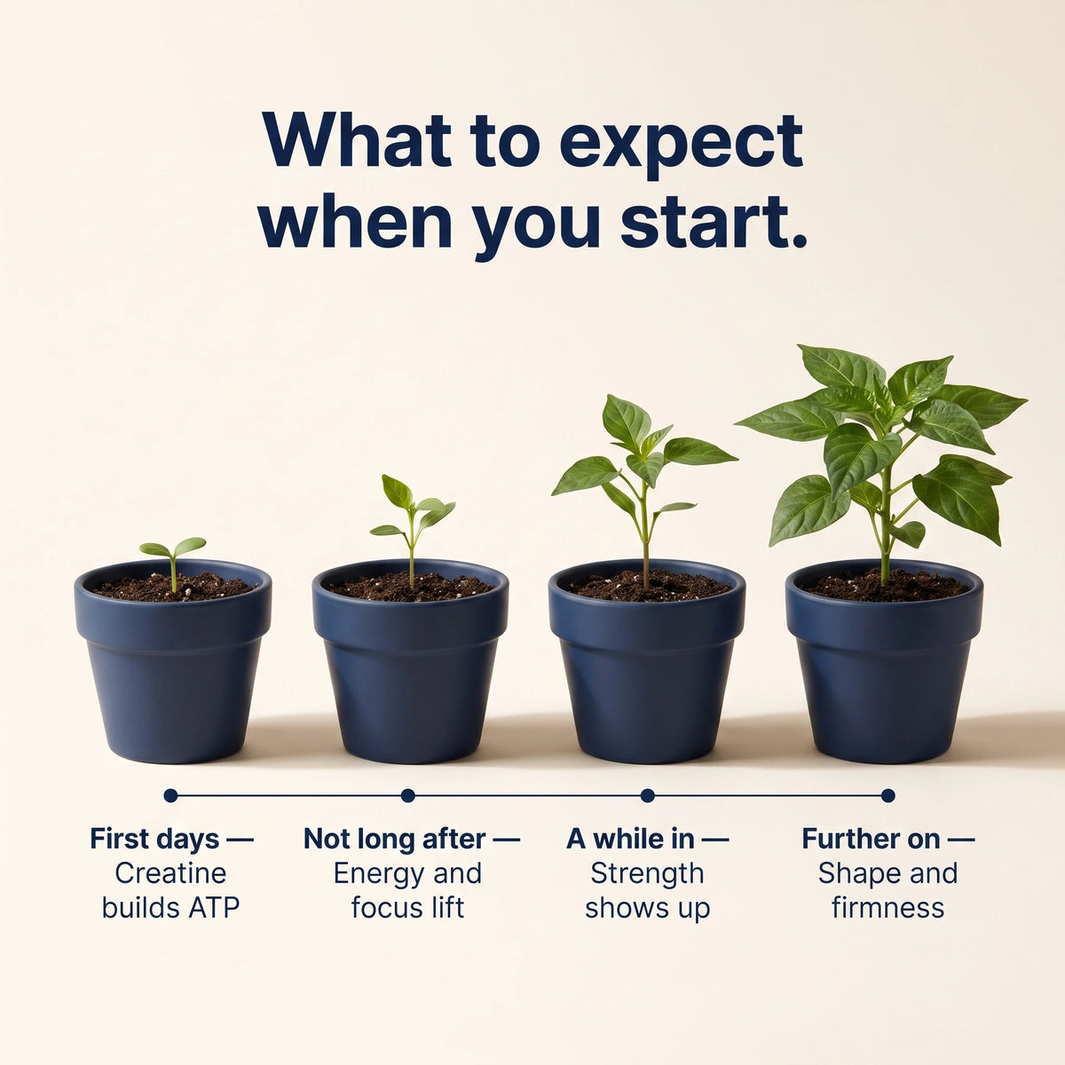 What to Expect When You Start